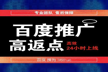 成功案例：SEM竞价托管的策略与效果